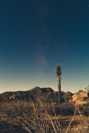 Joshua Tree blog mode voyage lifestyle français - road trip californie visite du parc national Joshua Tree