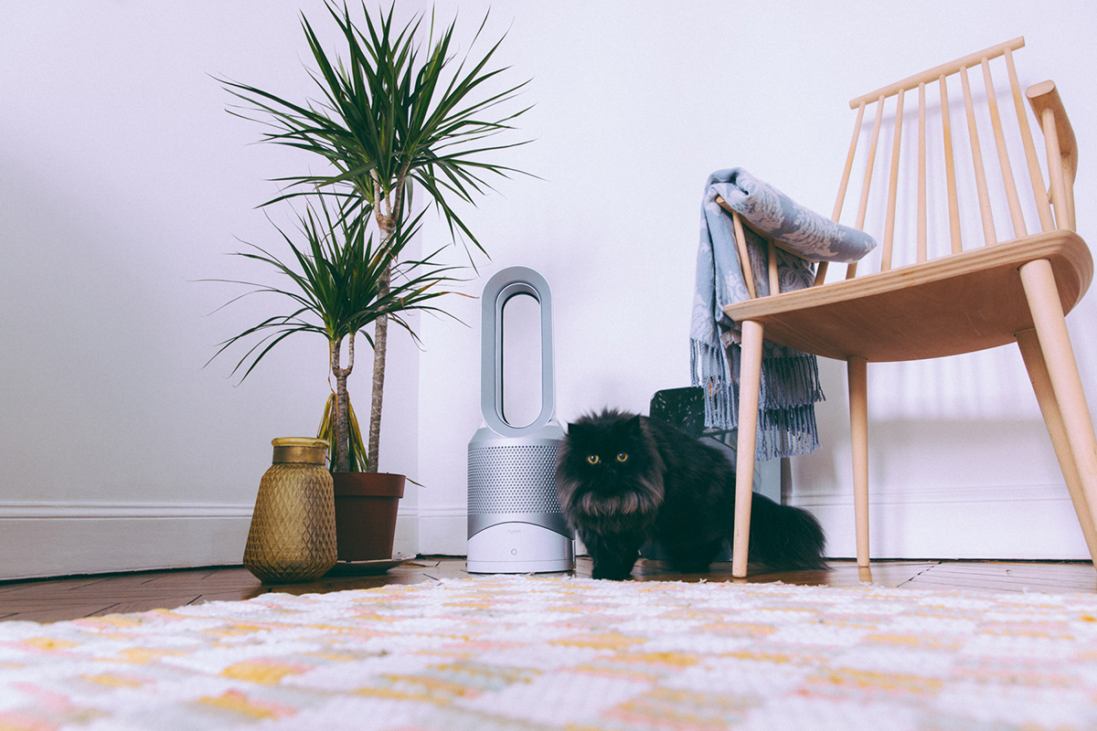 Purificateur d'air Dyson Hot Cold Link + ventilateur et chauffage test blog influenceur qualité des produits dyson avis