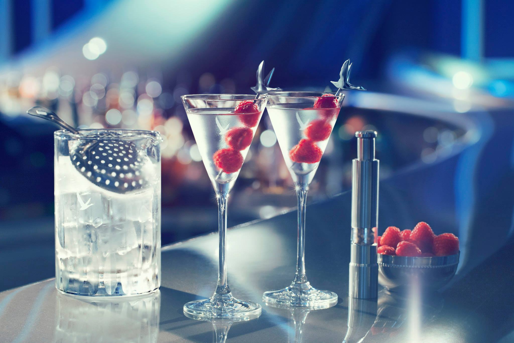 Grey Goose escale à Paris mai 2015 - plus petit bar Dry Martini du monde 