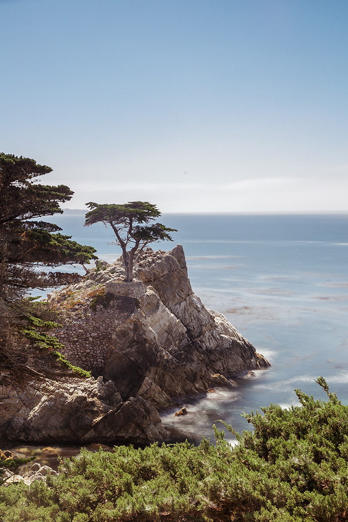 Blog voyage français Paris Lifestyle et mode - Etats-Unis séjour en Californie, descente de The Big Sur de Monterey à Sequoia Park 