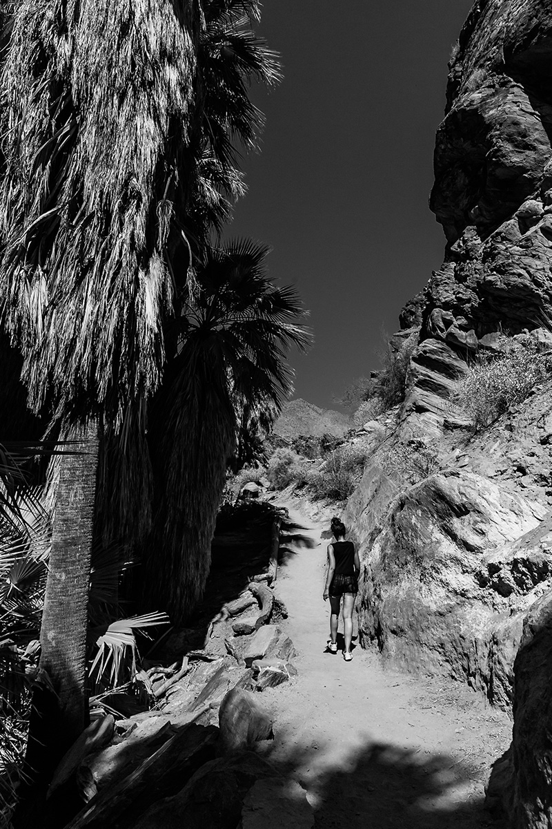 Indian Canyon Palm springs blog français blogueuse parisienne road trop californie 